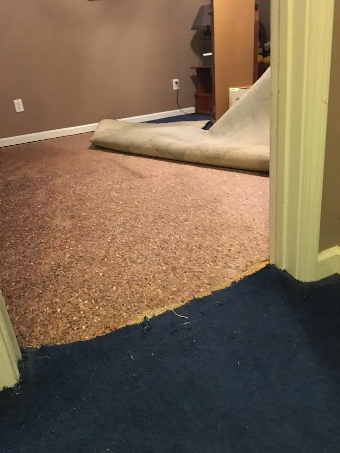 Carpet pad removal revealing water damage during Drying & Dehumidification in Herkimer