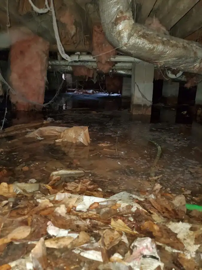 Crawl space flood assessment for Leak Detection & Repair in Herkimer