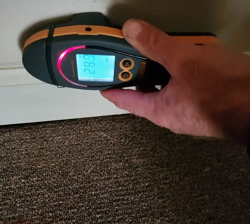 Moisture detection at baseboard during Mold Inspection & Testing in Herkimer